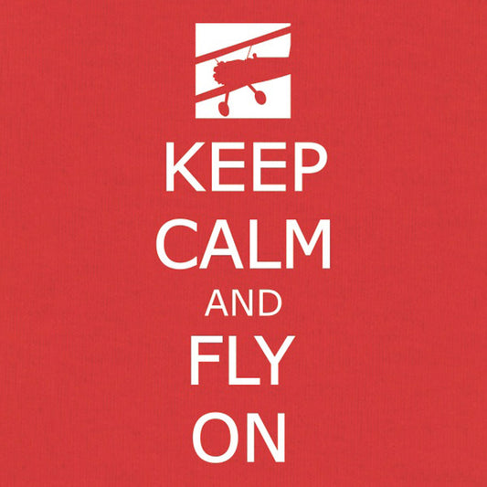 Keep Calm, Fly On T-Shirt